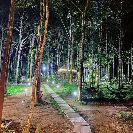 Tall Trees - Modern Forest Villa In Wayanad Sultan Bathery Extérieur photo