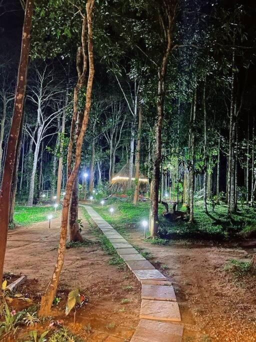 Tall Trees - Modern Forest Villa In Wayanad Sultan Bathery Extérieur photo