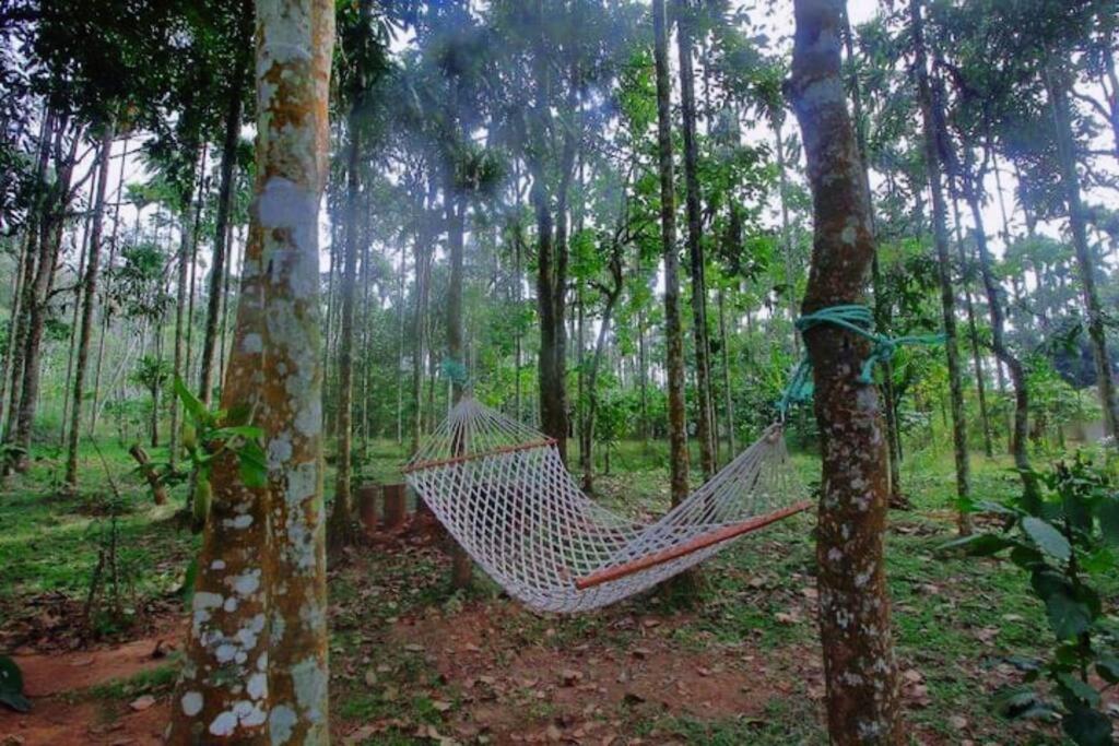 Tall Trees - Modern Forest Villa In Wayanad Sultan Bathery Extérieur photo