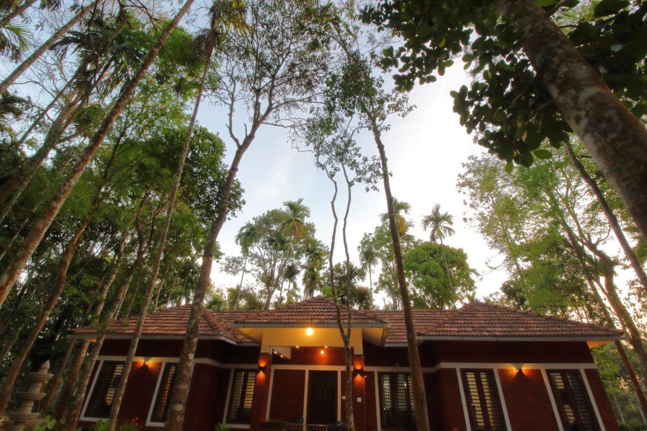 Tall Trees - Modern Forest Villa In Wayanad Sultan Bathery Extérieur photo