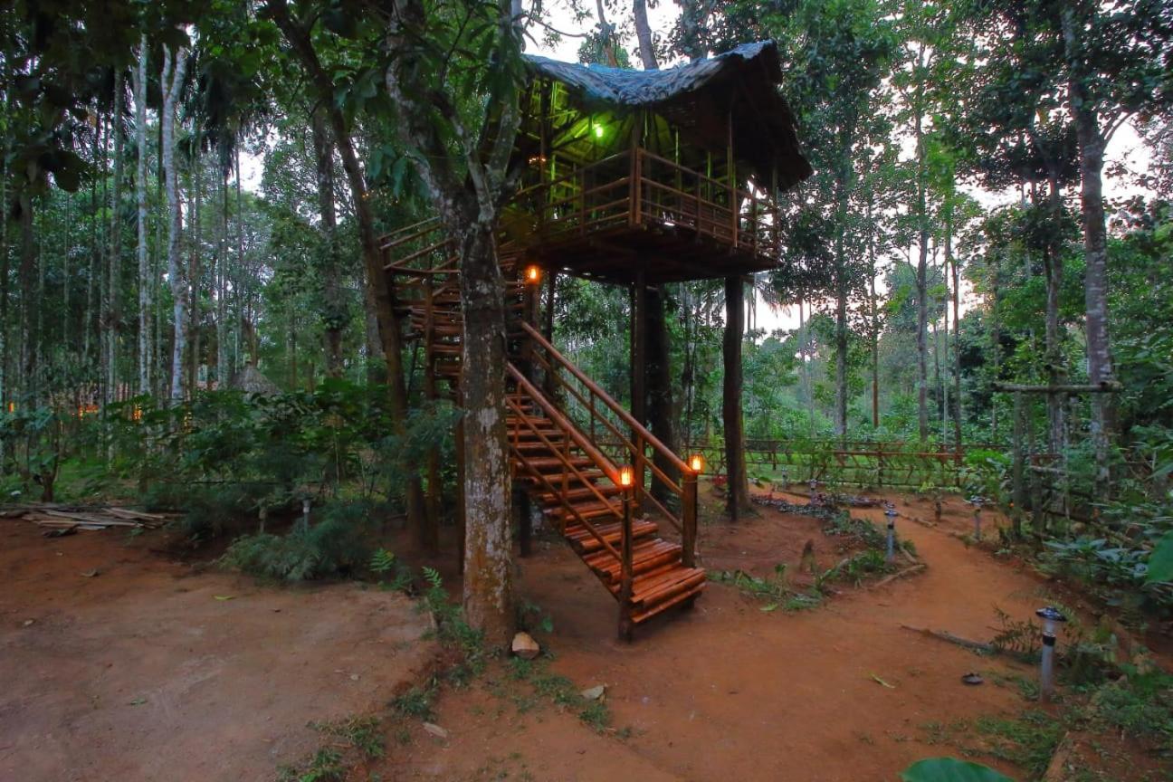 Tall Trees - Modern Forest Villa In Wayanad Sultan Bathery Extérieur photo