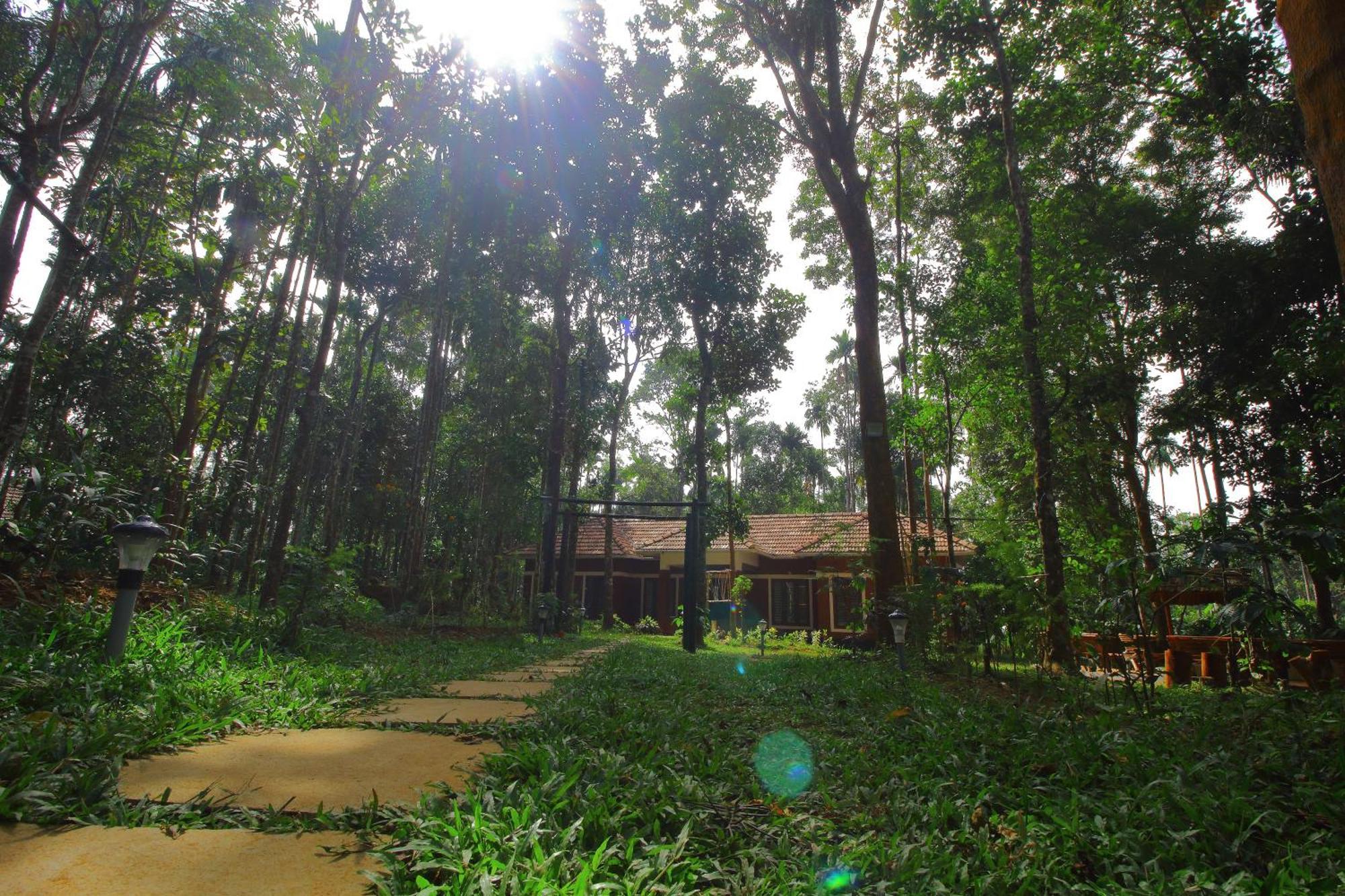 Tall Trees - Modern Forest Villa In Wayanad Sultan Bathery Extérieur photo